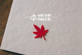 华体会登陆-蓝白风暴与北欧巨刃，2026世界杯E组，一场跨越大陆的默契协奏曲