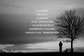 华体会登陆-蓝黑旗帜飘扬南半球，布罗佐维奇用一场大师课，为尼日利亚敲开2026世界杯胜利之门