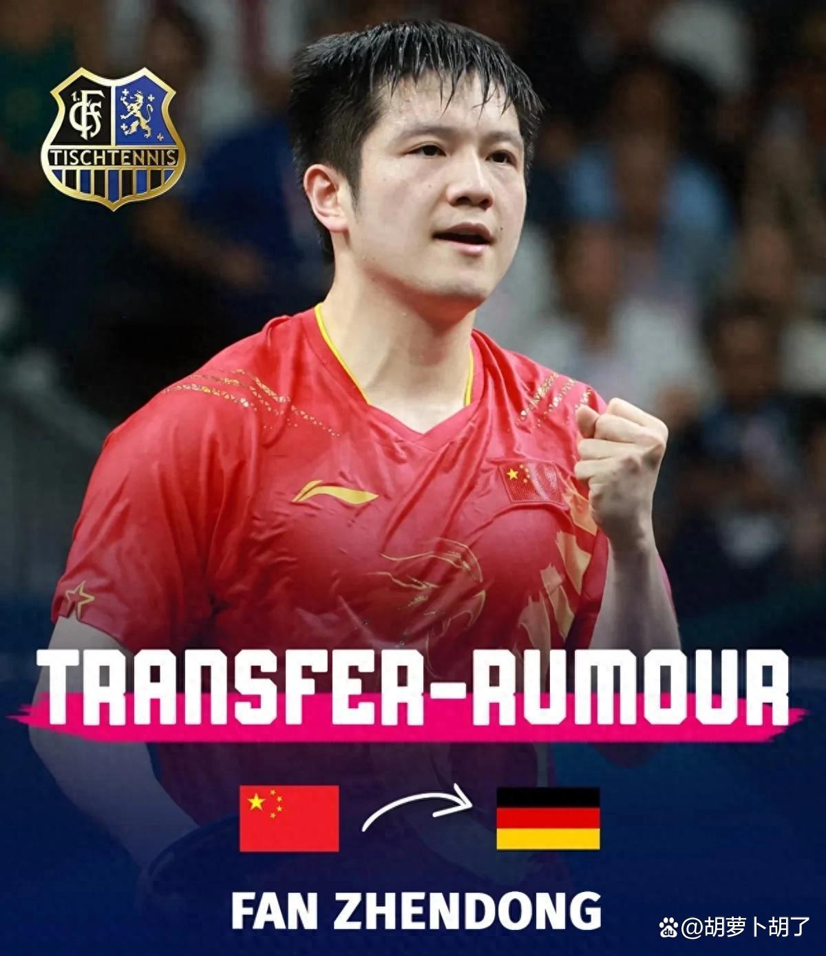 华体会体育-中国队横扫德国队，樊振东关键制胜  第1张