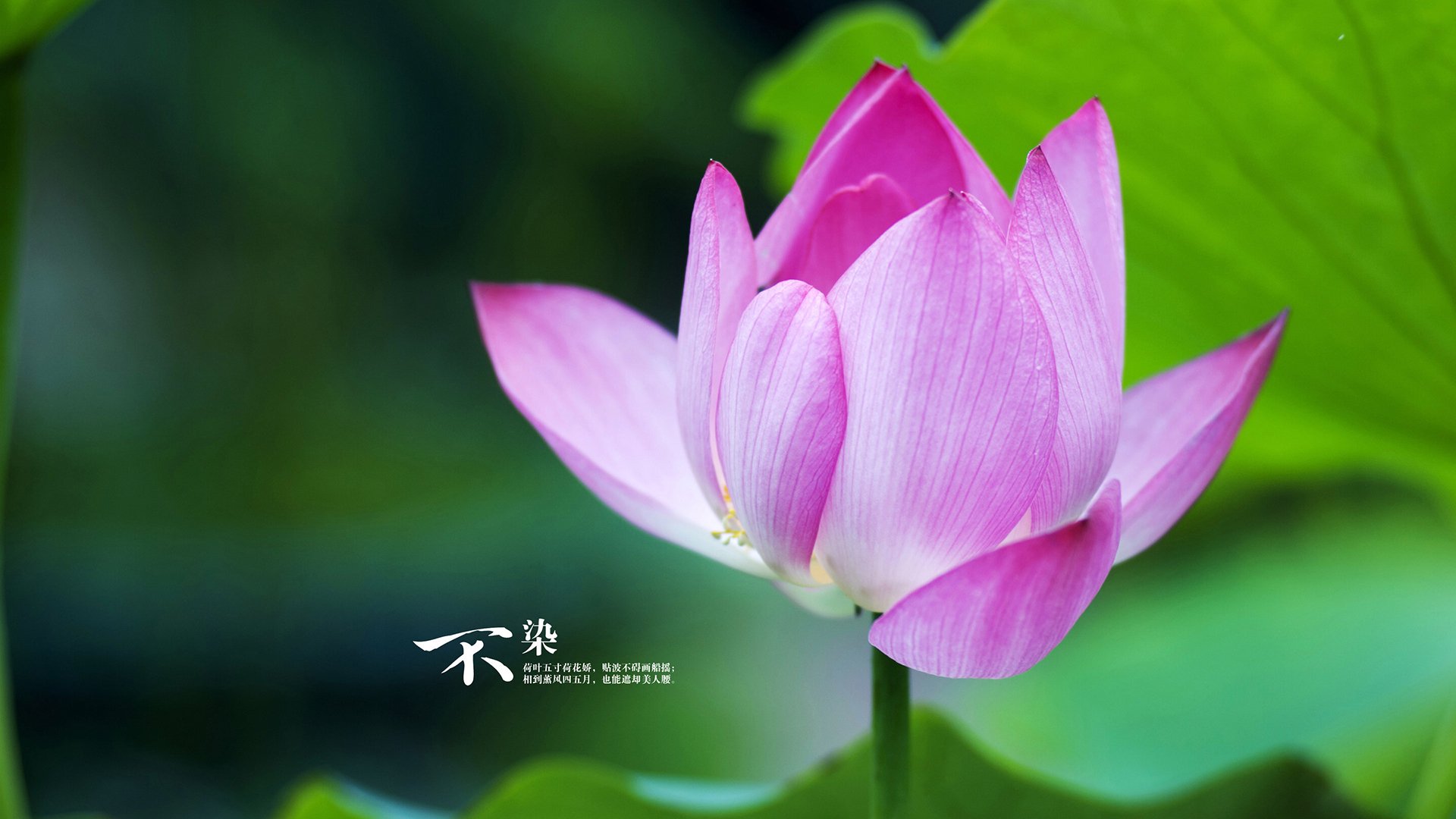 华体会hth-浓眉定律再现！浙江队加时鏖战掀翻骑士彰显大心脏  第1张