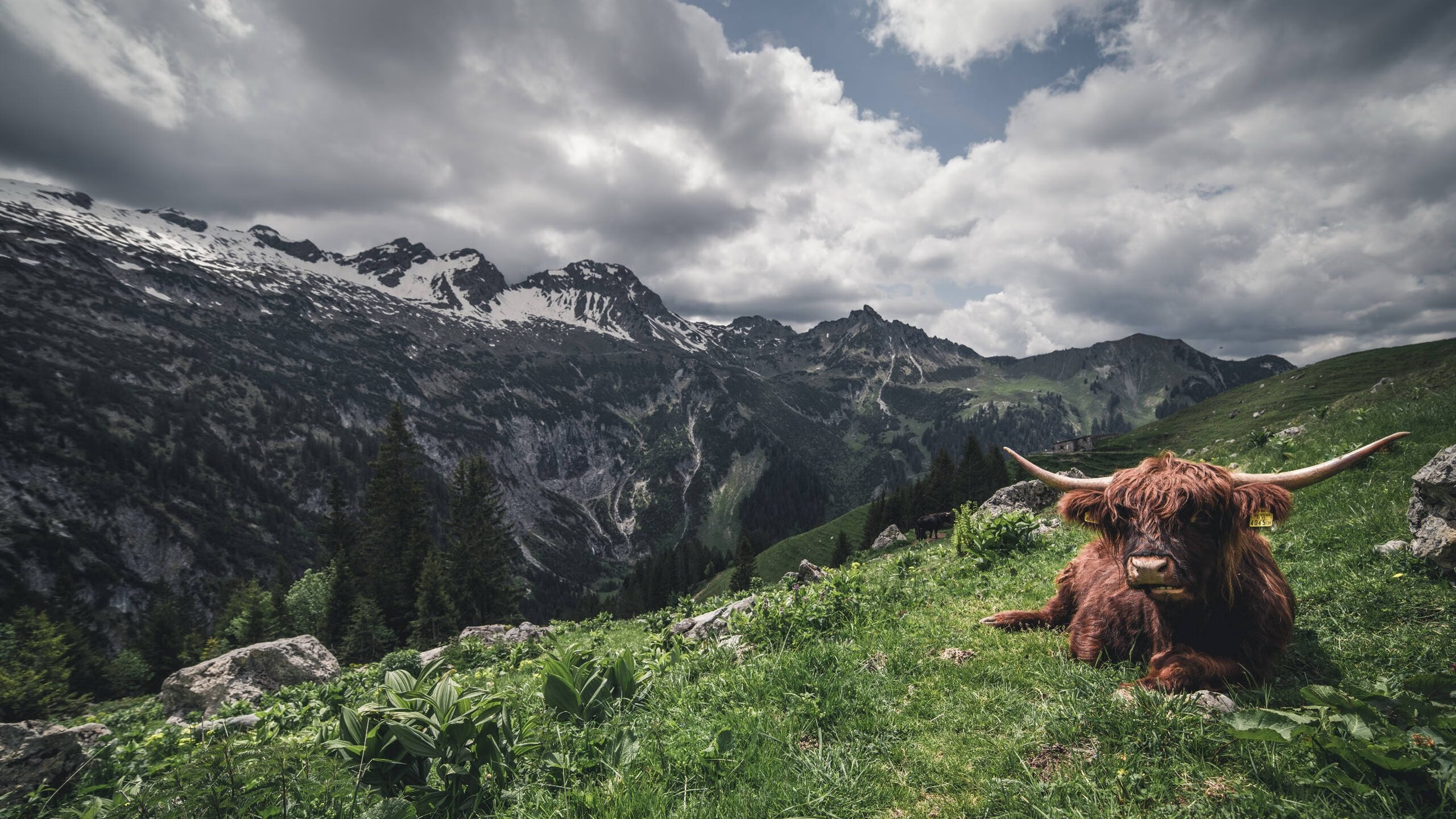 华体会hth-拜仁对阵韩国，当足球DNA双螺旋在布鲁诺的高能输出中完美配对  第1张