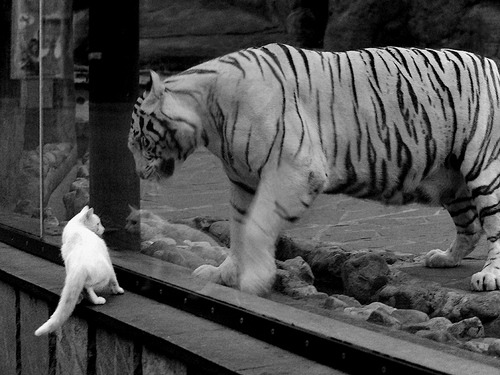 华体会-钢铁之躯绞杀华丽舞步,马竞淘汰阿森纳的战术角力与孙兴慜的亚洲力量 第1张 华体会-钢铁之躯绞杀华丽舞步,马竞淘汰阿森纳的战术角力与孙兴慜的亚洲力量 第1张