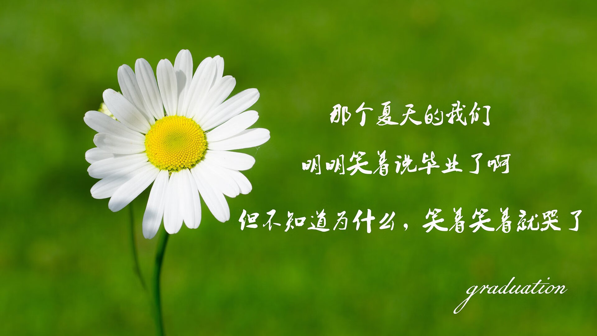 华体会下载-绿茵史诗,2026世界杯A组生死战,尼日利亚风暴横扫智利,加维率队逆势破局 第2张 华体会下载-绿茵史诗,2026世界杯A组生死战,尼日利亚风暴横扫智利,加维率队逆势破局 第2张